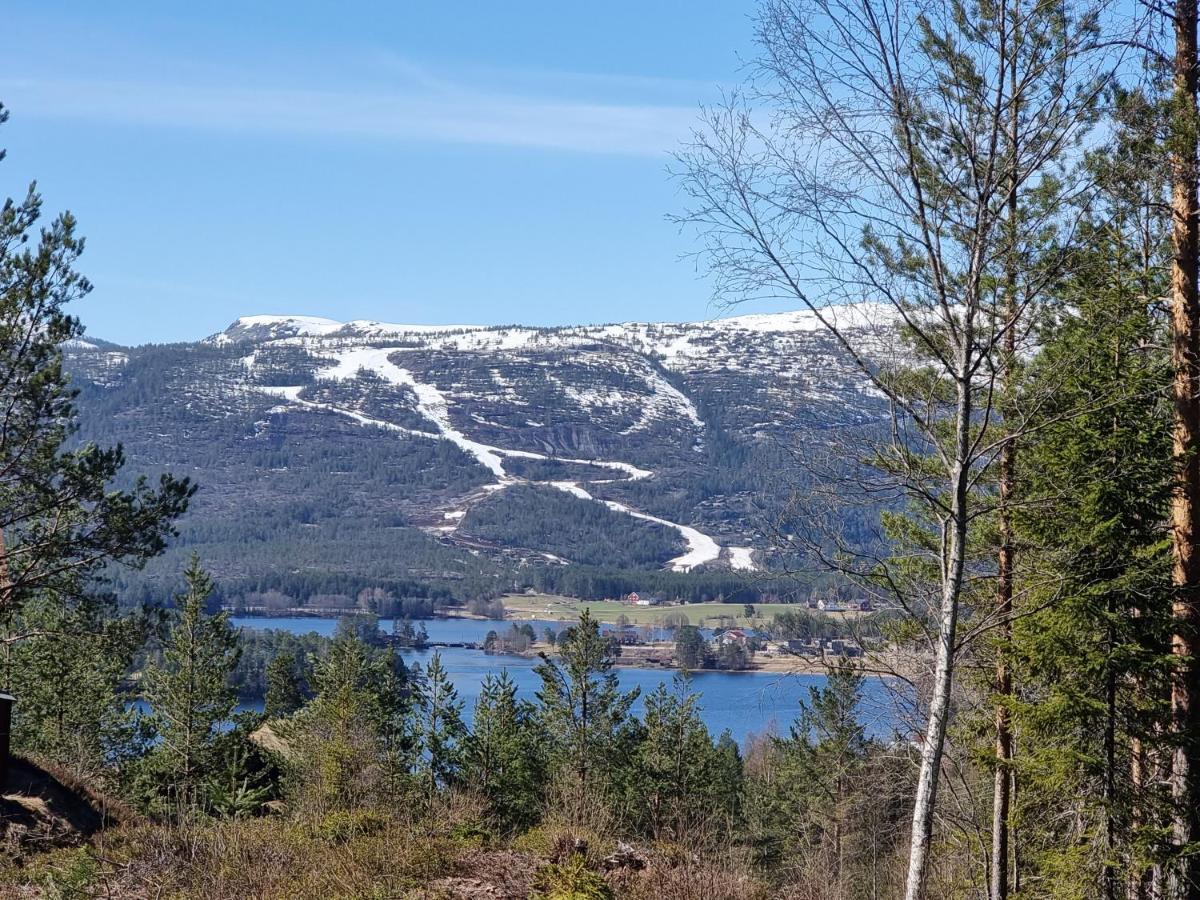 Holiday Cabin In Beautiful Surroundings Vrådal Exteriör bild